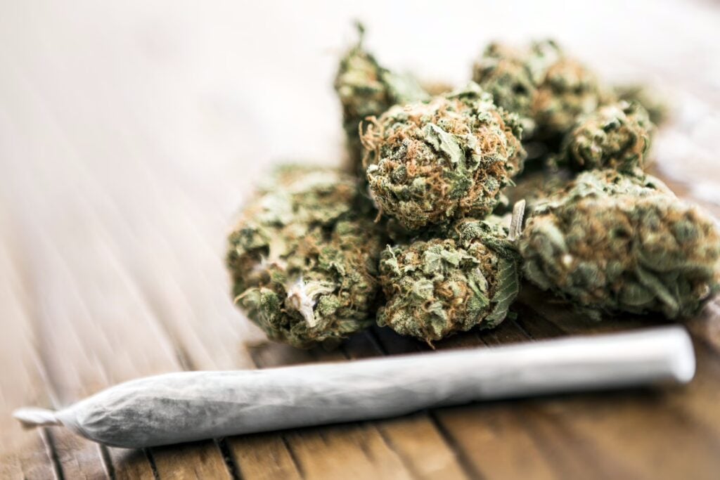 Why Is Singapore So Strict? 24 Rules To Know Before Visiting 19 Cannabis Buds