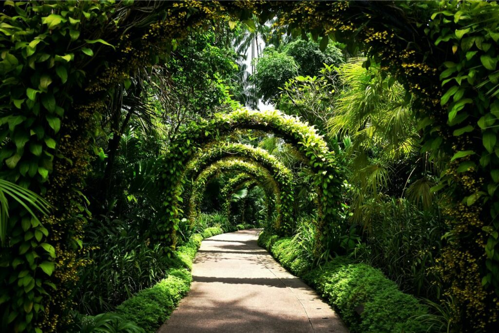 Singapore Botanic Gardens Pathway Walkway