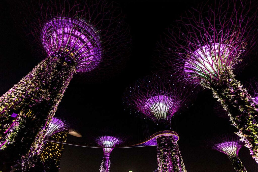 Night Photography Singapore Gardens By The Bay Supertree