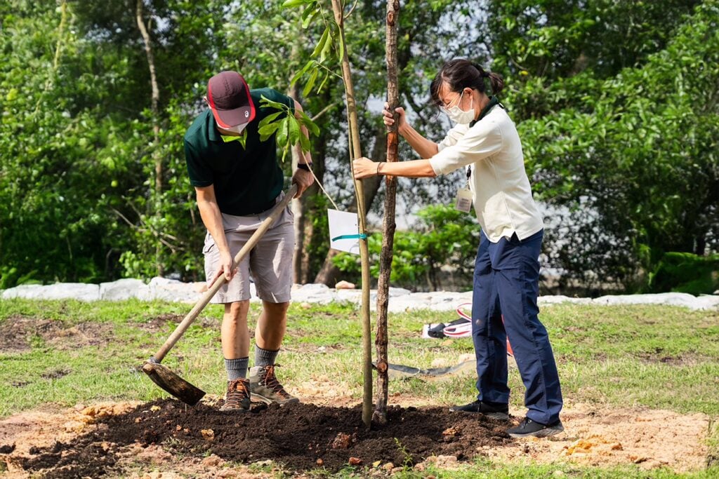 Participate OneMillionTrees movement