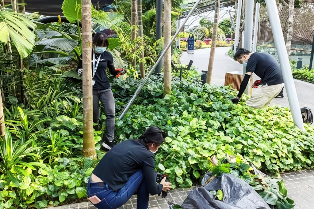 Inside Jewel Changi’s Eco-Friendly Design Secrets 5 Jewel BeLeafers Programme
